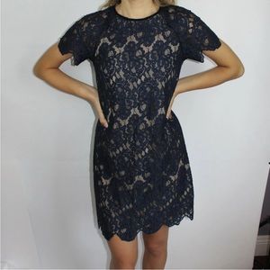 Chelsea28 Navy Blue Lace Short-sleeved Shift Dress XS